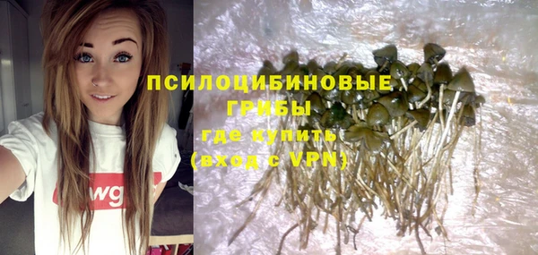 кристаллы Бородино
