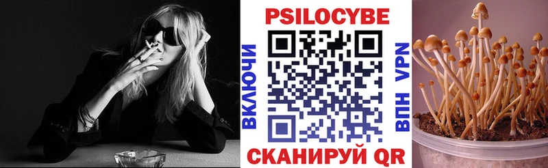 Псилоцибиновые грибы Psilocybine cubensis  даркнет сайт  Кизилюрт 