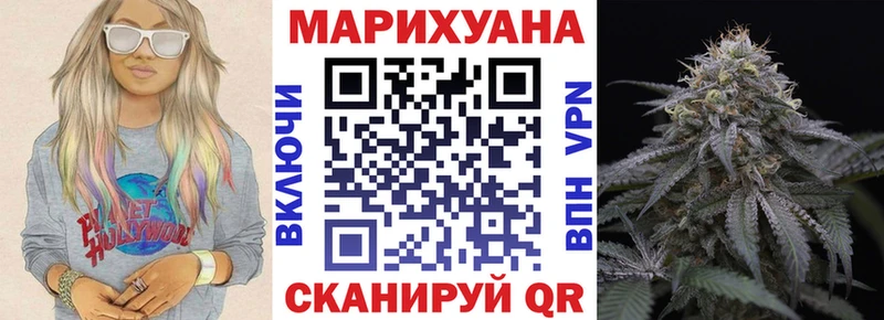 Бошки Шишки план  Кизилюрт 